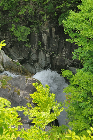 鼠餅の大滝