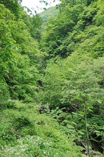 木々の向こうに百間滝