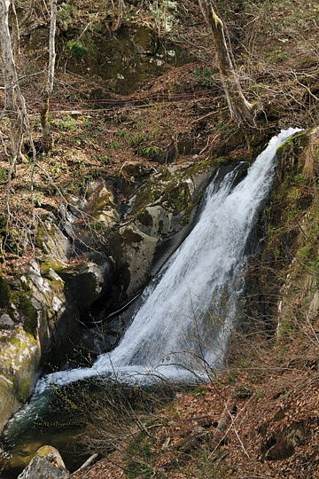 障泥滝