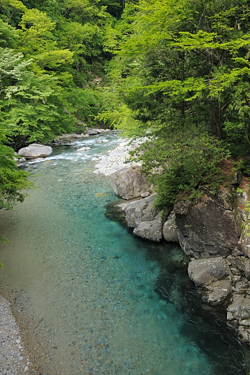 吊り橋から見た阿寺渓谷