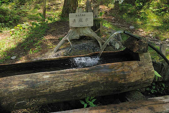 美顔水