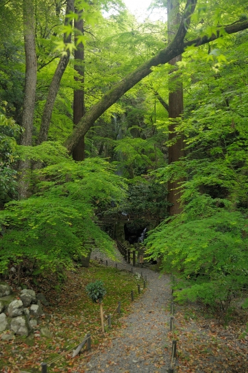 東林寺境内