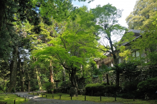 東林寺境内
