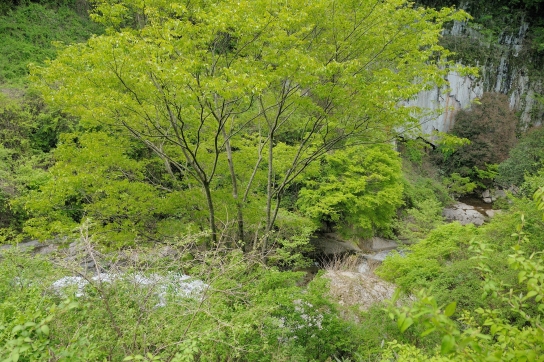 長走りの滝