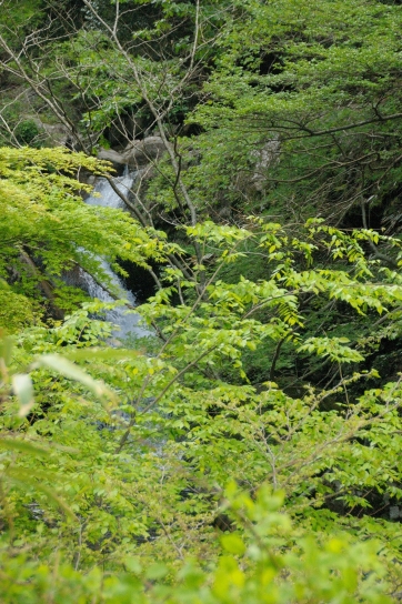 長走りの滝上流