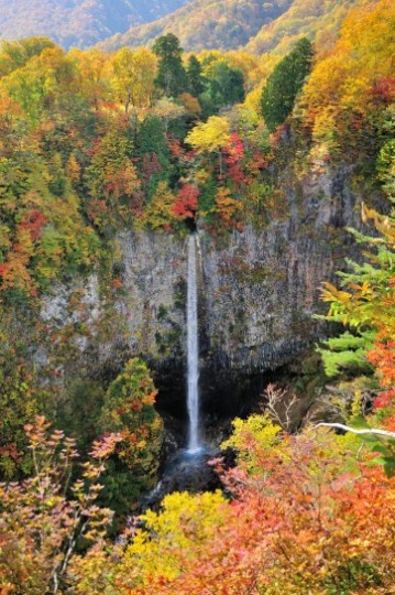雪と紅葉と滝