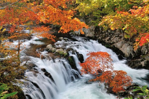 庄川源流 秋の滝めぐり
